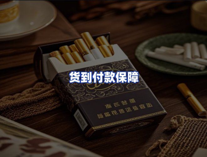 专业团队